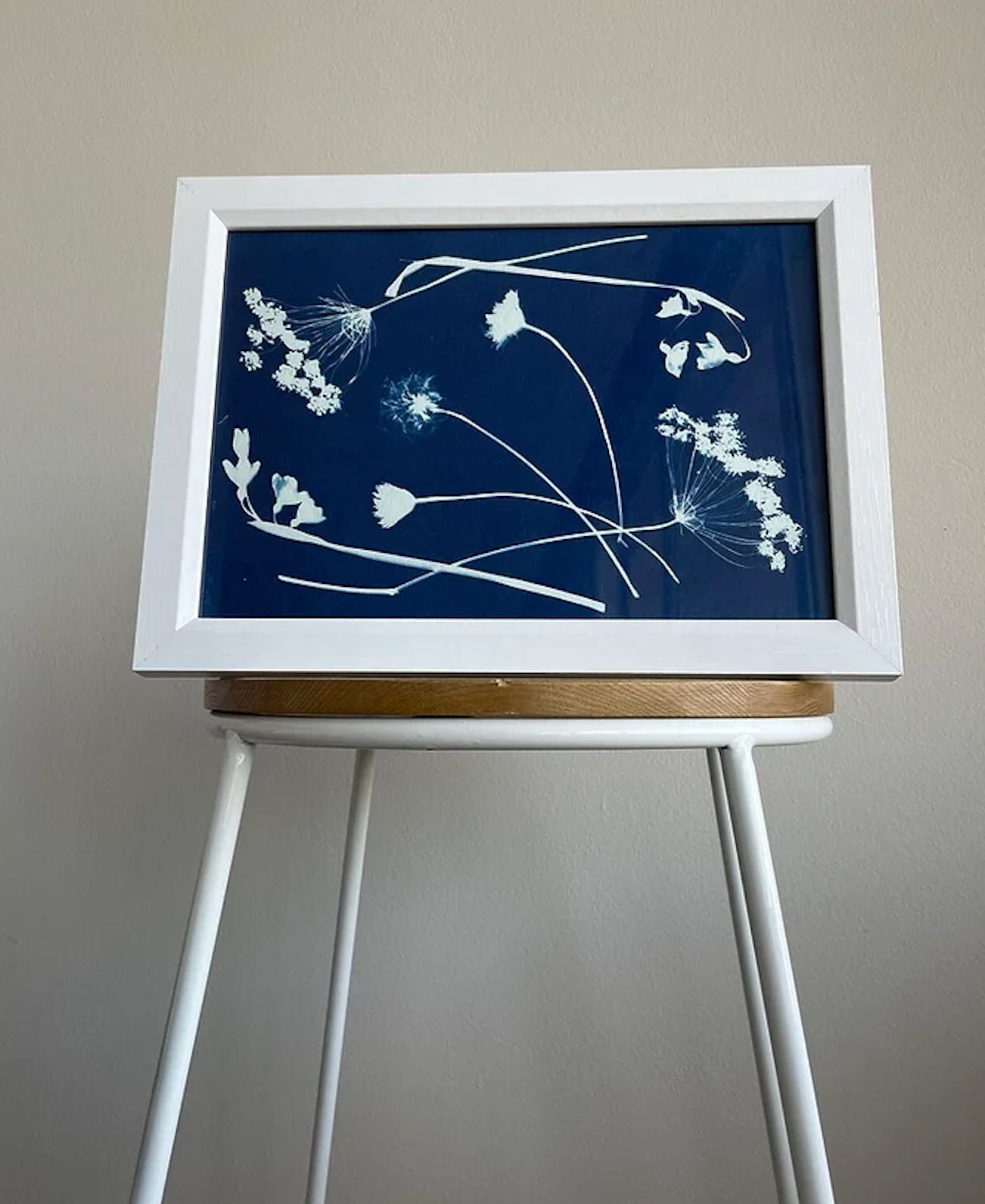 Cyanotype botanical print